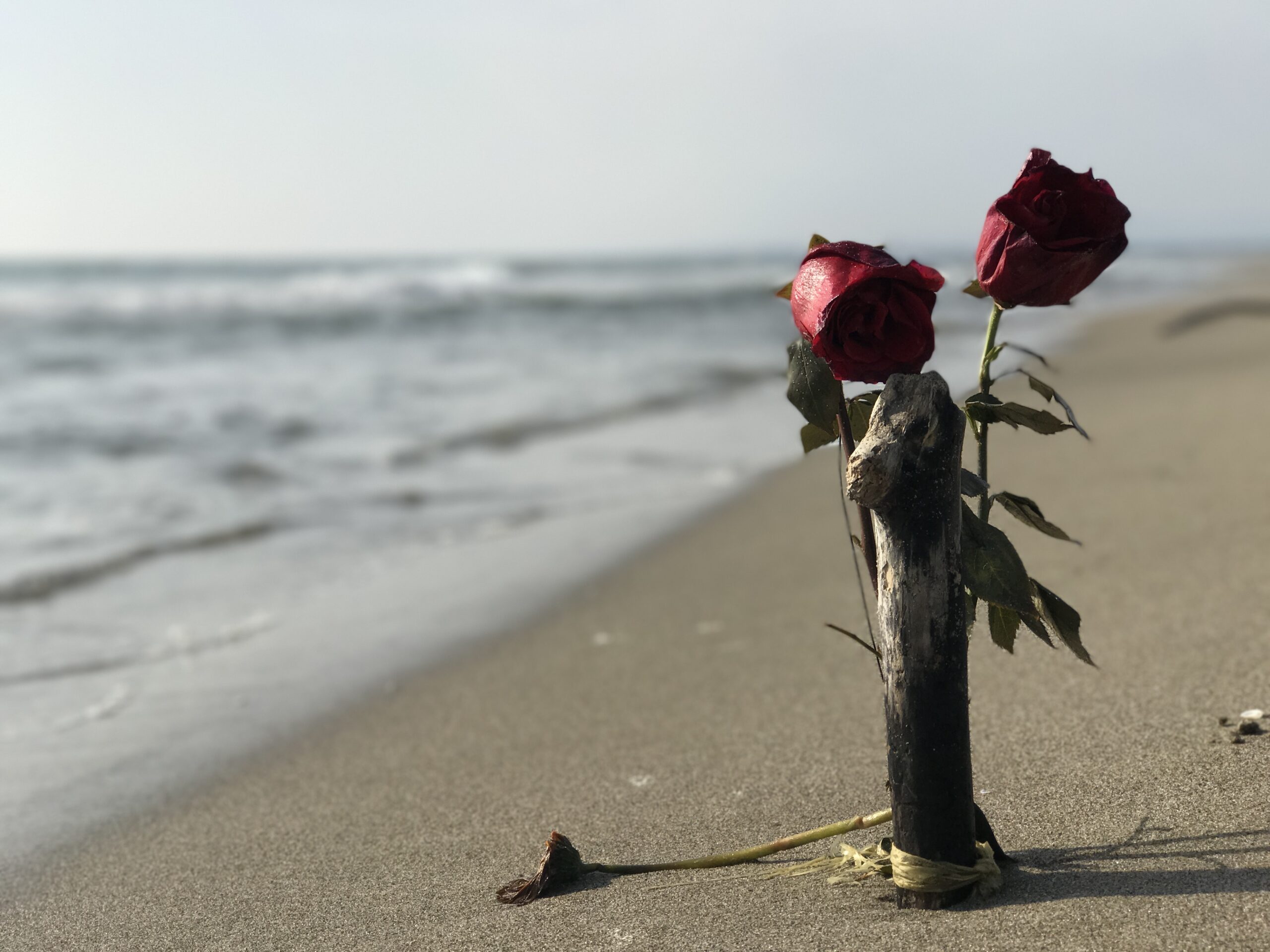 Bloemen afscheid aan zee door Mare Uitvaart te Den Haag