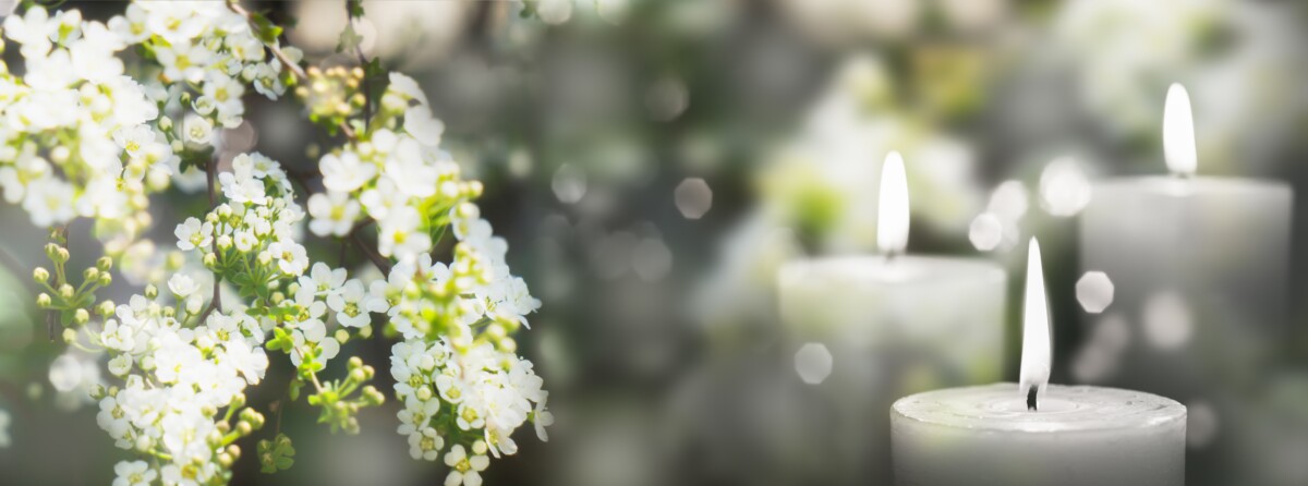 Uitvaart-Begraven-Cremeren-Den-Haag-Mare-Uitvaart-witte-bloem